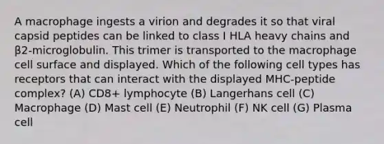 A macrophage ingests a virion and degrades it so that viral capsid peptides can be linked to class I HLA heavy chains and β2-microglobulin. This trimer is transported to the macrophage cell surface and displayed. Which of the following cell types has receptors that can interact with the displayed MHC-peptide complex? (A) CD8+ lymphocyte (B) Langerhans cell (C) Macrophage (D) Mast cell (E) Neutrophil (F) NK cell (G) Plasma cell