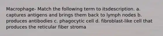 Macrophage- Match the following term to itsdescription. a. captures antigens and brings them back to lymph nodes b. produces antibodies c. phagocytic cell d. fibroblast-like cell that produces the reticular fiber stroma