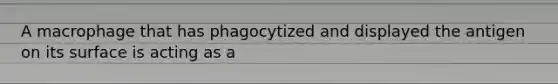 A macrophage that has phagocytized and displayed the antigen on its surface is acting as a
