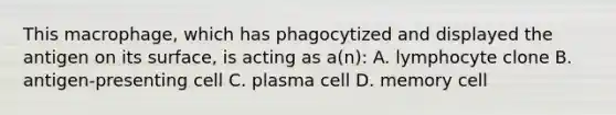 This macrophage, which has phagocytized and displayed the antigen on its surface, is acting as a(n): A. lymphocyte clone B. antigen-presenting cell C. plasma cell D. memory cell