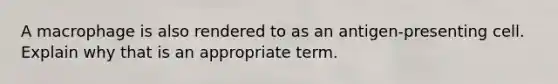 A macrophage is also rendered to as an antigen-presenting cell. Explain why that is an appropriate term.