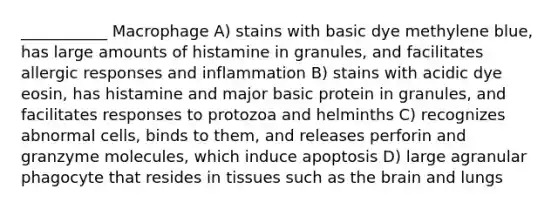 ___________ Macrophage A) stains with basic dye methylene blue, has large amounts of histamine in granules, and facilitates allergic responses and inflammation B) stains with acidic dye eosin, has histamine and major basic protein in granules, and facilitates responses to protozoa and helminths C) recognizes abnormal cells, binds to them, and releases perforin and granzyme molecules, which induce apoptosis D) large agranular phagocyte that resides in tissues such as the brain and lungs