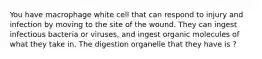 You have macrophage white cell that can respond to injury and infection by moving to the site of the wound. They can ingest infectious bacteria or viruses, and ingest organic molecules of what they take in. The digestion organelle that they have is ?