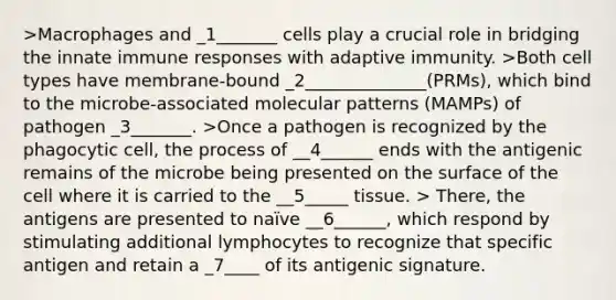 >Macrophages and _1_______ cells play a crucial role in bridging the innate immune responses with adaptive immunity. >Both cell types have membrane-bound _2______________(PRMs), which bind to the microbe-associated molecular patterns (MAMPs) of pathogen _3_______. >Once a pathogen is recognized by the phagocytic cell, the process of __4______ ends with the antigenic remains of the microbe being presented on the surface of the cell where it is carried to the __5_____ tissue. > There, the antigens are presented to naïve __6______, which respond by stimulating additional lymphocytes to recognize that specific antigen and retain a _7____ of its antigenic signature.