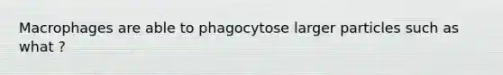 Macrophages are able to phagocytose larger particles such as what ?