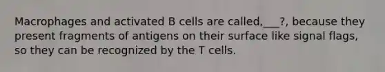 Macrophages and activated B cells are called,___?, because they present fragments of antigens on their surface like signal flags, so they can be recognized by the T cells.