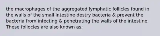 the macrophages of the aggregated lymphatic follicles found in the walls of the small intestine destry bacteria & prevent the bacteria from infecting & penetrating the walls of the intestine. These follocles are also known as;