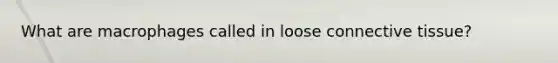What are macrophages called in loose connective tissue?