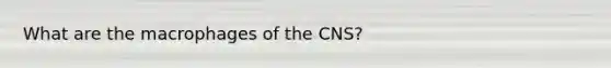 What are the macrophages of the CNS?