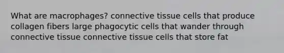 What are macrophages? connective tissue cells that produce collagen fibers large phagocytic cells that wander through connective tissue connective tissue cells that store fat