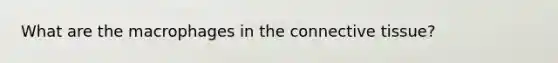 What are the macrophages in the connective tissue?