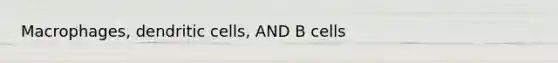 Macrophages, dendritic cells, AND B cells