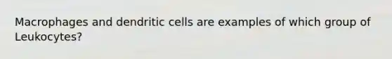 Macrophages and dendritic cells are examples of which group of Leukocytes?