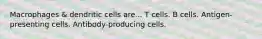 Macrophages & dendritic cells are... T cells. B cells. Antigen-presenting cells. Antibody-producing cells.