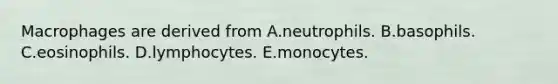 Macrophages are derived from A.neutrophils. B.basophils. C.eosinophils. D.lymphocytes. E.monocytes.