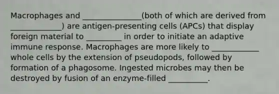 Macrophages and _______________(both of which are derived from _____________) are antigen-presenting cells (APCs) that display foreign material to _________ in order to initiate an adaptive immune response. Macrophages are more likely to ____________ whole cells by the extension of pseudopods, followed by formation of a phagosome. Ingested microbes may then be destroyed by fusion of an enzyme-filled __________.