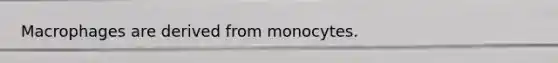 Macrophages are derived from monocytes.