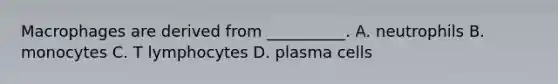 Macrophages are derived from __________. A. neutrophils B. monocytes C. T lymphocytes D. plasma cells