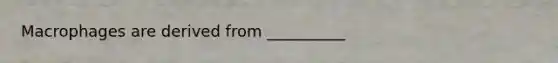 Macrophages are derived from __________