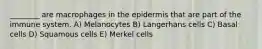 ________ are macrophages in the epidermis that are part of the immune system. A) Melanocytes B) Langerhans cells C) Basal cells D) Squamous cells E) Merkel cells