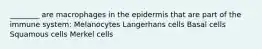 ________ are macrophages in the epidermis that are part of the immune system: Melanocytes Langerhans cells Basal cells Squamous cells Merkel cells