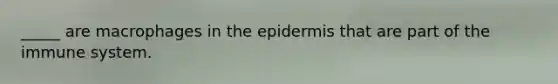 _____ are macrophages in <a href='https://www.questionai.com/knowledge/kBFgQMpq6s-the-epidermis' class='anchor-knowledge'>the epidermis</a> that are part of the immune system.