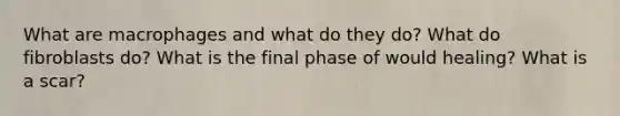 What are macrophages and what do they do? What do fibroblasts do? What is the final phase of would healing? What is a scar?