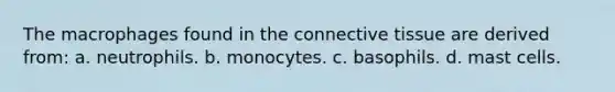 The macrophages found in the connective tissue are derived from: a. neutrophils. b. monocytes. c. basophils. d. mast cells.