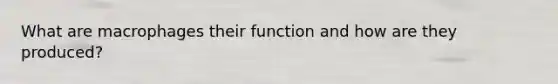 What are macrophages their function and how are they produced?