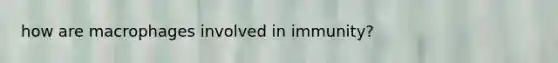 how are macrophages involved in immunity?