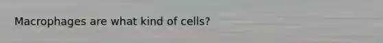 Macrophages are what kind of cells?