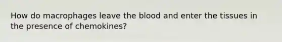 How do macrophages leave the blood and enter the tissues in the presence of chemokines?