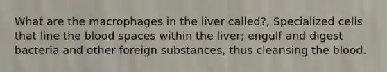 What are the macrophages in the liver called?, Specialized cells that line <a href='https://www.questionai.com/knowledge/k7oXMfj7lk-the-blood' class='anchor-knowledge'>the blood</a> spaces within the liver; engulf and digest bacteria and other foreign substances, thus cleansing the blood.