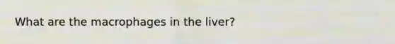 What are the macrophages in the liver?