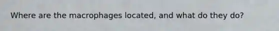 Where are the macrophages located, and what do they do?