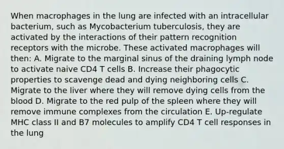 When macrophages in the lung are infected with an intracellular bacterium, such as Mycobacterium tuberculosis, they are activated by the interactions of their pattern recognition receptors with the microbe. These activated macrophages will then: A. Migrate to the marginal sinus of the draining lymph node to activate naive CD4 T cells B. Increase their phagocytic properties to scavenge dead and dying neighboring cells C. Migrate to the liver where they will remove dying cells from the blood D. Migrate to the red pulp of the spleen where they will remove immune complexes from the circulation E. Up-regulate MHC class II and B7 molecules to amplify CD4 T cell responses in the lung