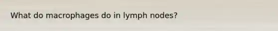 What do macrophages do in lymph nodes?