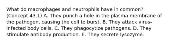 What do macrophages and neutrophils have in common? (Concept 43.1) A. They punch a hole in the plasma membrane of the pathogen, causing the cell to burst. B. They attack virus-infected body cells. C. They phagocytize pathogens. D. They stimulate antibody production. E. They secrete lysozyme.