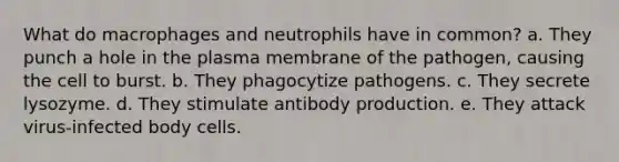 What do macrophages and neutrophils have in common? a. They punch a hole in the plasma membrane of the pathogen, causing the cell to burst. b. They phagocytize pathogens. c. They secrete lysozyme. d. They stimulate antibody production. e. They attack virus-infected body cells.