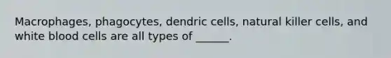 Macrophages, phagocytes, dendric cells, natural killer cells, and white blood cells are all types of ______.