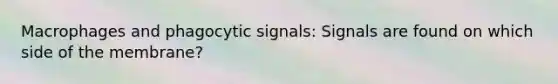 Macrophages and phagocytic signals: Signals are found on which side of the membrane?