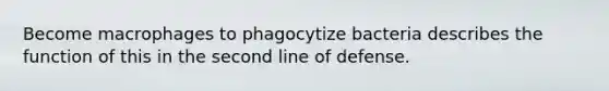 Become macrophages to phagocytize bacteria describes the function of this in the second line of defense.