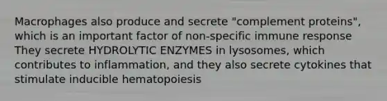 Macrophages also produce and secrete "complement proteins", which is an important factor of non-specific immune response They secrete HYDROLYTIC ENZYMES in lysosomes, which contributes to inflammation, and they also secrete cytokines that stimulate inducible hematopoiesis