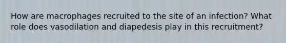 How are macrophages recruited to the site of an infection? What role does vasodilation and diapedesis play in this recruitment?