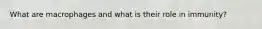 What are macrophages and what is their role in immunity?
