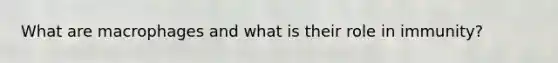 What are macrophages and what is their role in immunity?