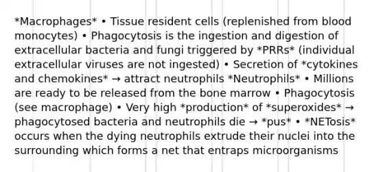 *Macrophages* • Tissue resident cells (replenished from blood monocytes) • Phagocytosis is the ingestion and digestion of extracellular bacteria and fungi triggered by *PRRs* (individual extracellular viruses are not ingested) • Secretion of *cytokines and chemokines* → attract neutrophils *Neutrophils* • Millions are ready to be released from the bone marrow • Phagocytosis (see macrophage) • Very high *production* of *superoxides* → phagocytosed bacteria and neutrophils die → *pus* • *NETosis* occurs when the dying neutrophils extrude their nuclei into the surrounding which forms a net that entraps microorganisms