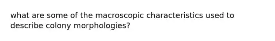 what are some of the macroscopic characteristics used to describe colony morphologies?