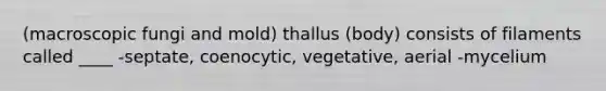 (macroscopic fungi and mold) thallus (body) consists of filaments called ____ -septate, coenocytic, vegetative, aerial -mycelium