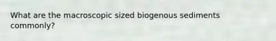 What are the macroscopic sized biogenous sediments commonly?